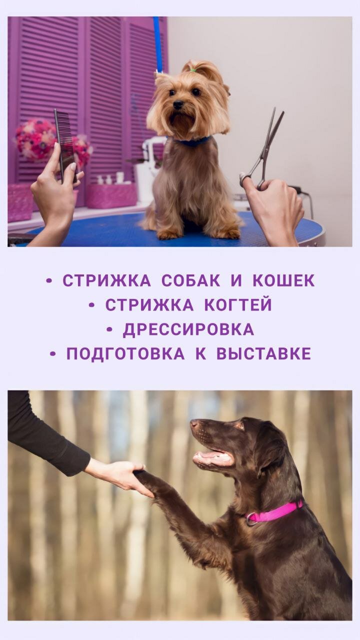 Фото клиники 29664