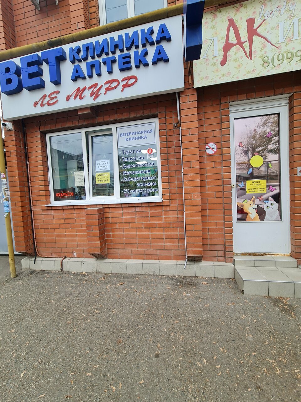 Фото клиники 67472