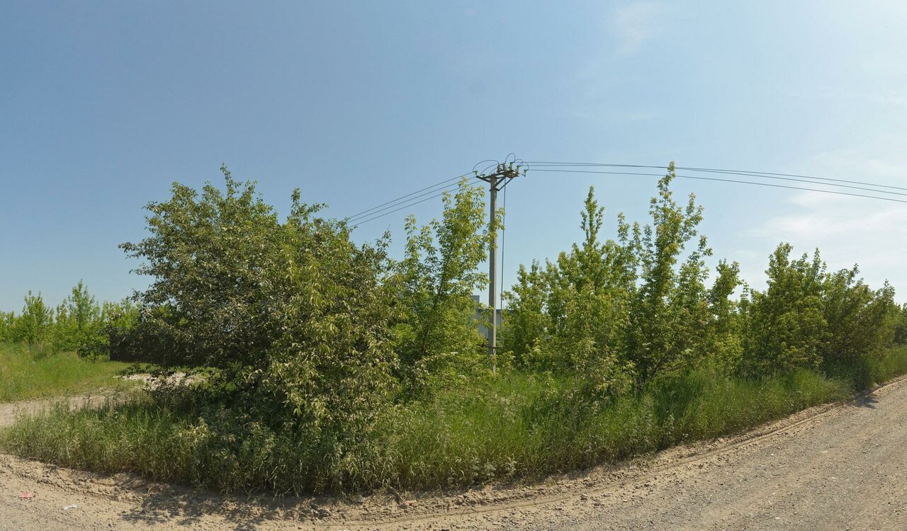 Ритуальные услуги для животных