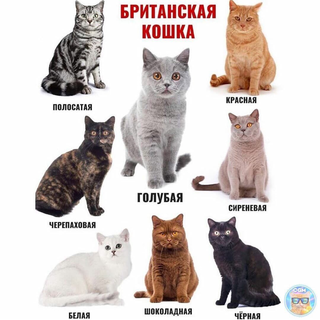 Фото клиники 33321