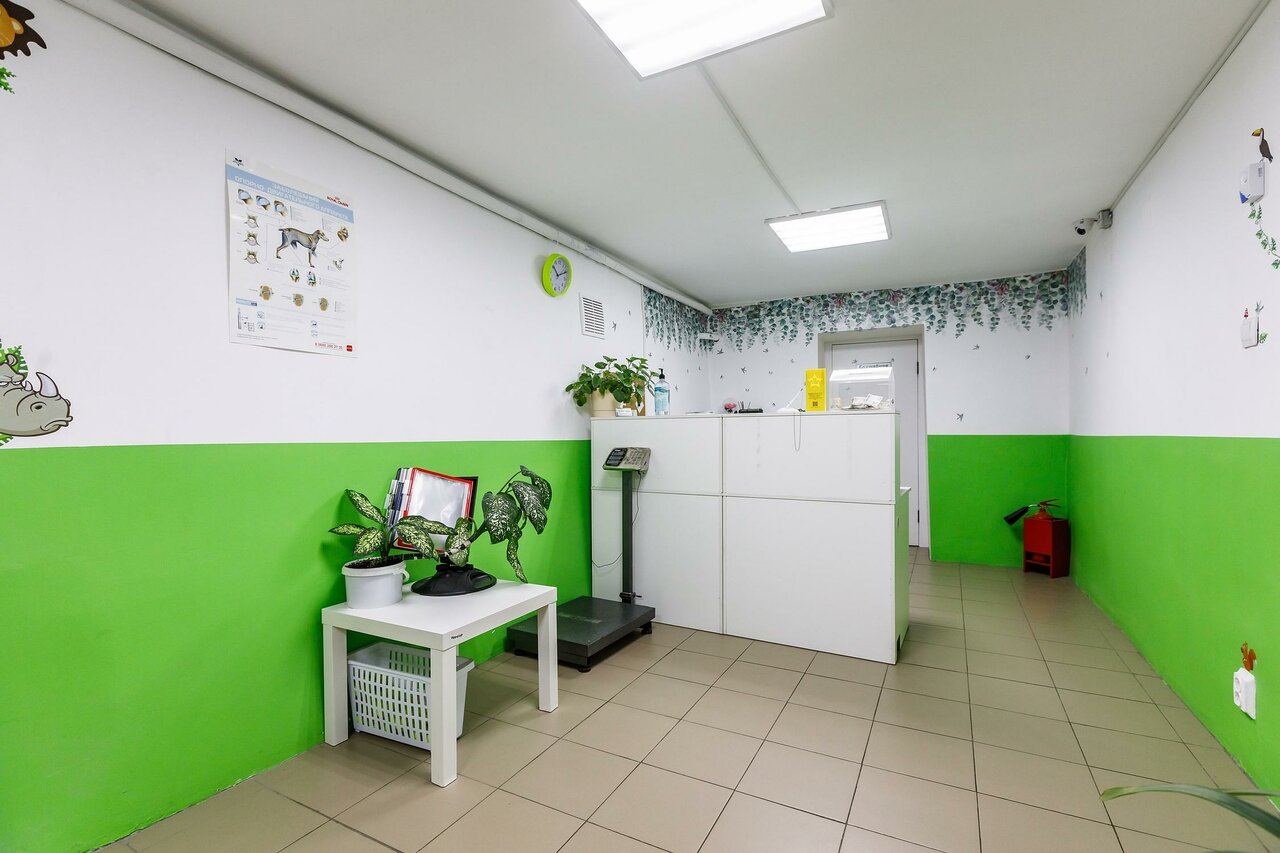 Фото «Мишель»