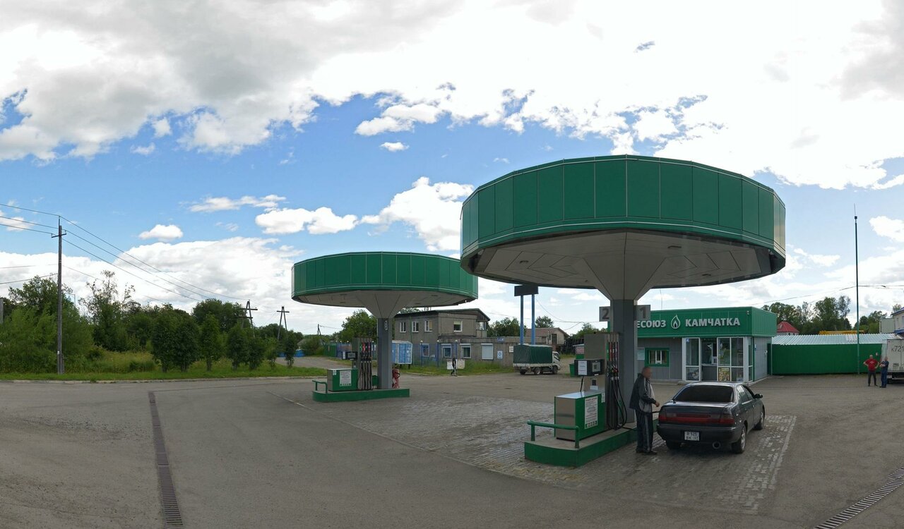 В мире животных