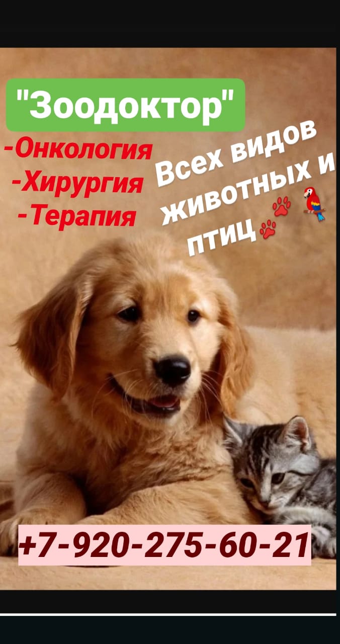 Логотип клиники