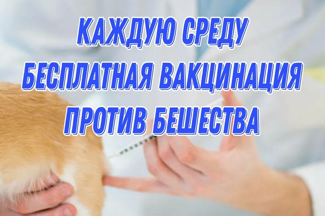 clinic general image