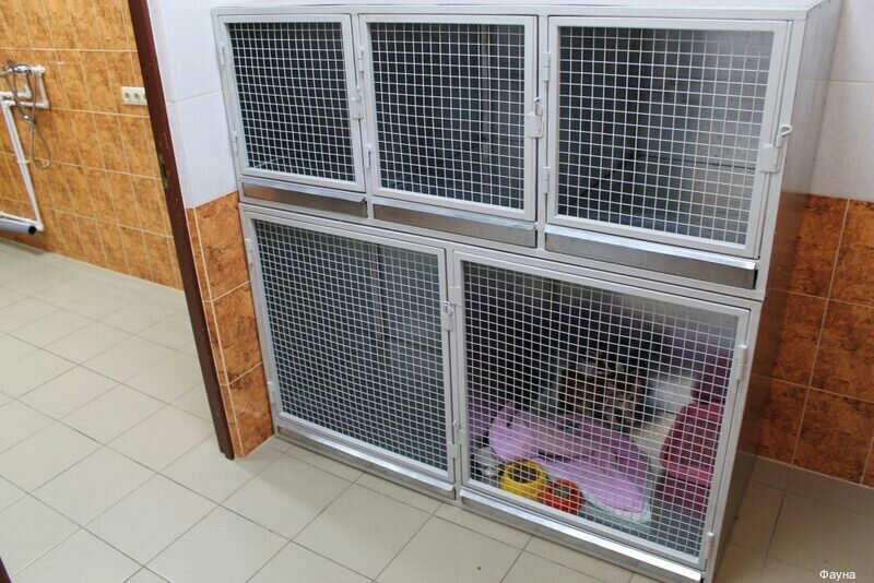 more clinic photos 4695