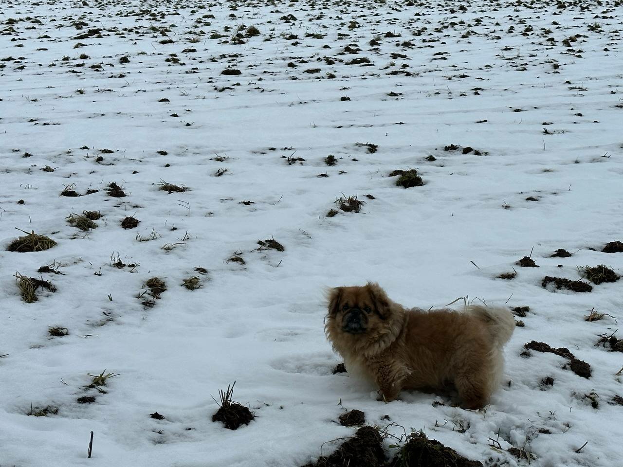 clinic general image