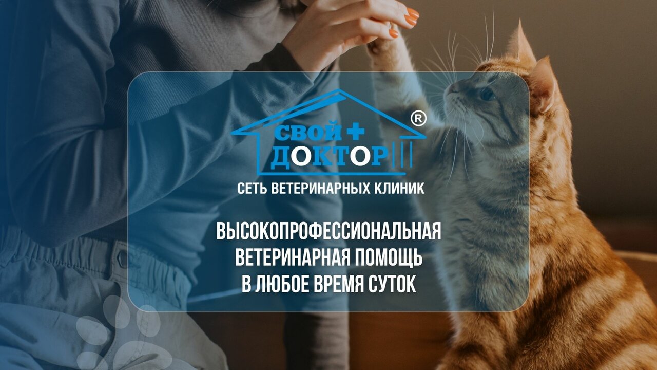 clinic general image