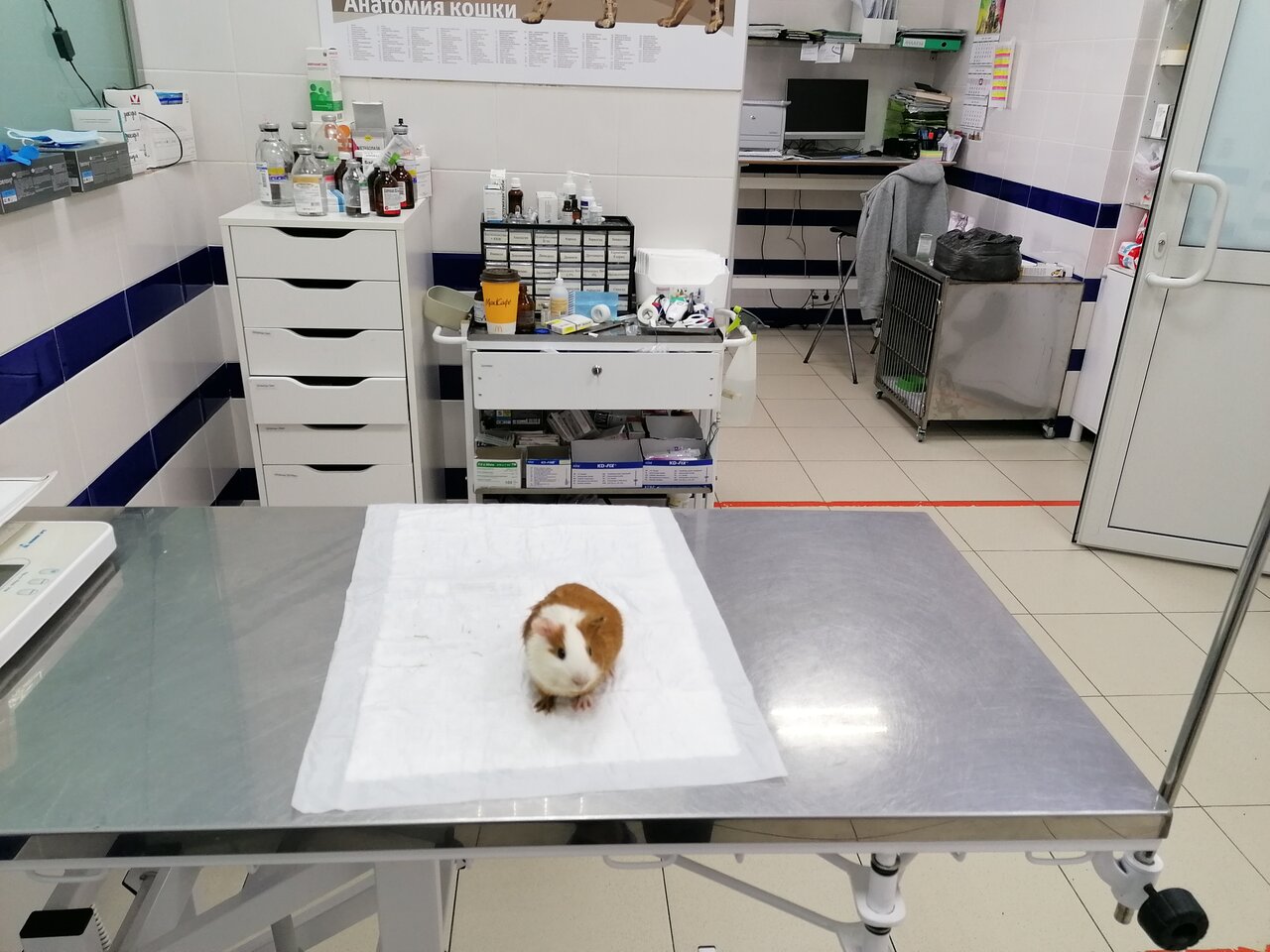 more clinic photos 19073