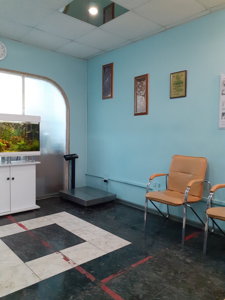 more clinic photos 8935