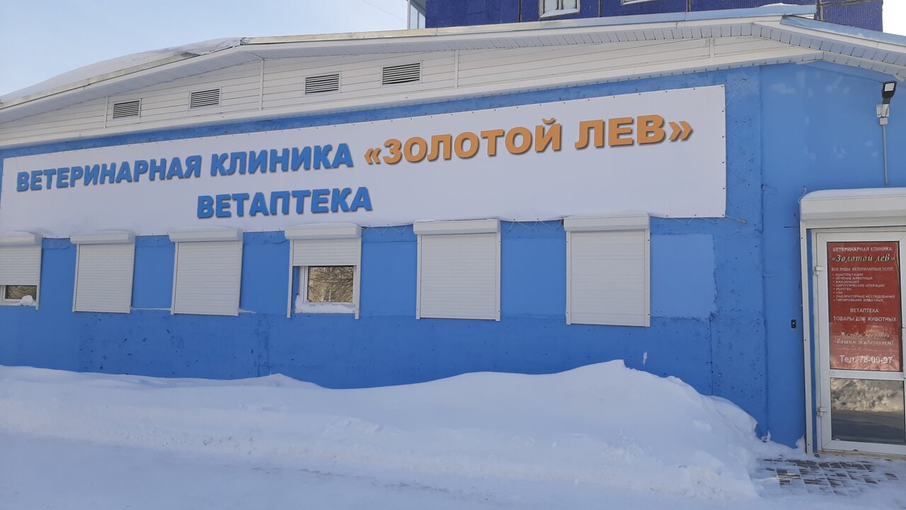 Фото клиники 68244