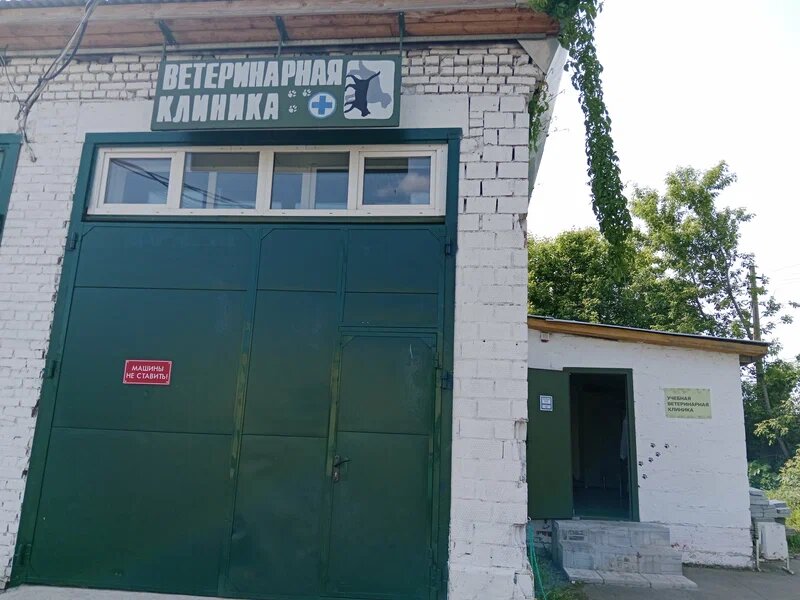 Фото «Ветеринарная клиника»