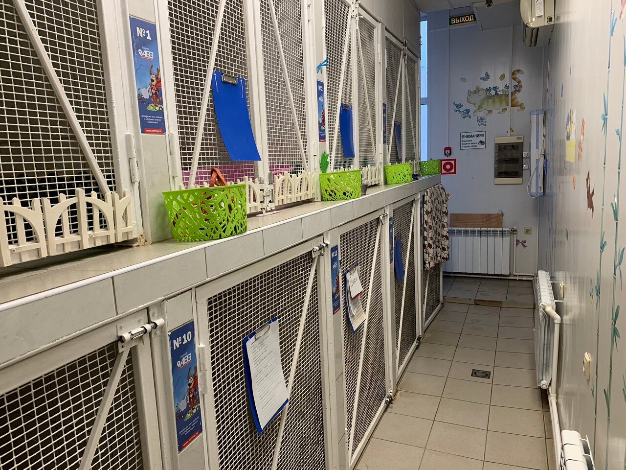 more clinic photos 4850