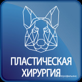 clinic logo