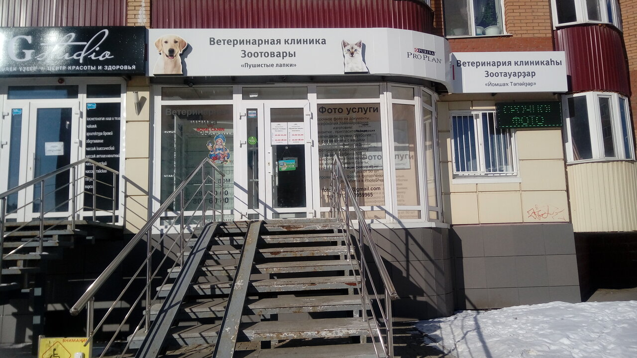 Пушистые лапки