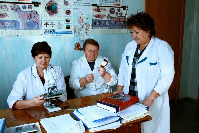 Фото клиники ОГБУ Еткульская районная ветеринарная станция по борьбе с болезнями животных