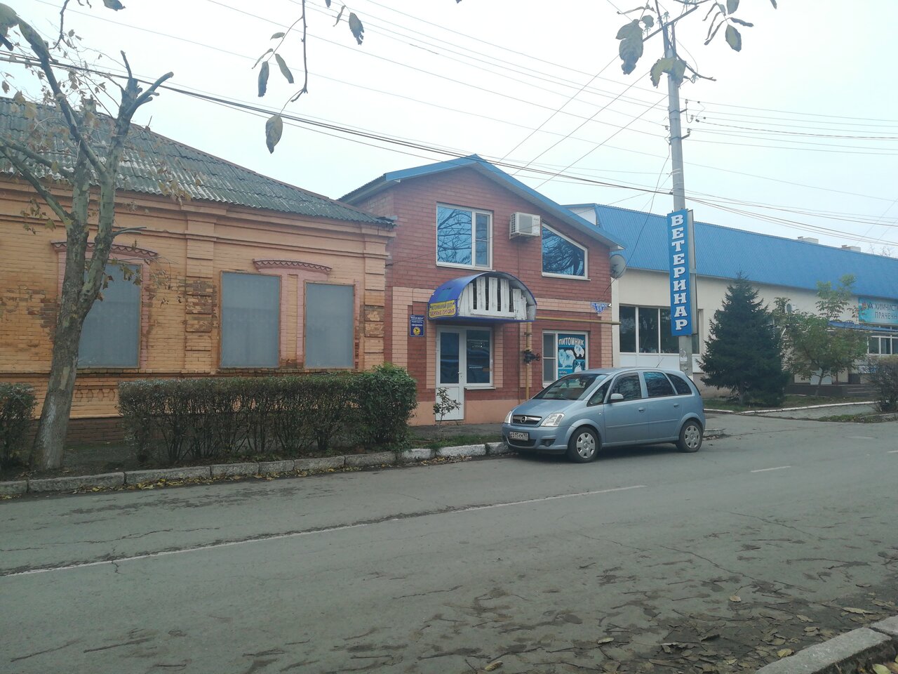 Верные друзья