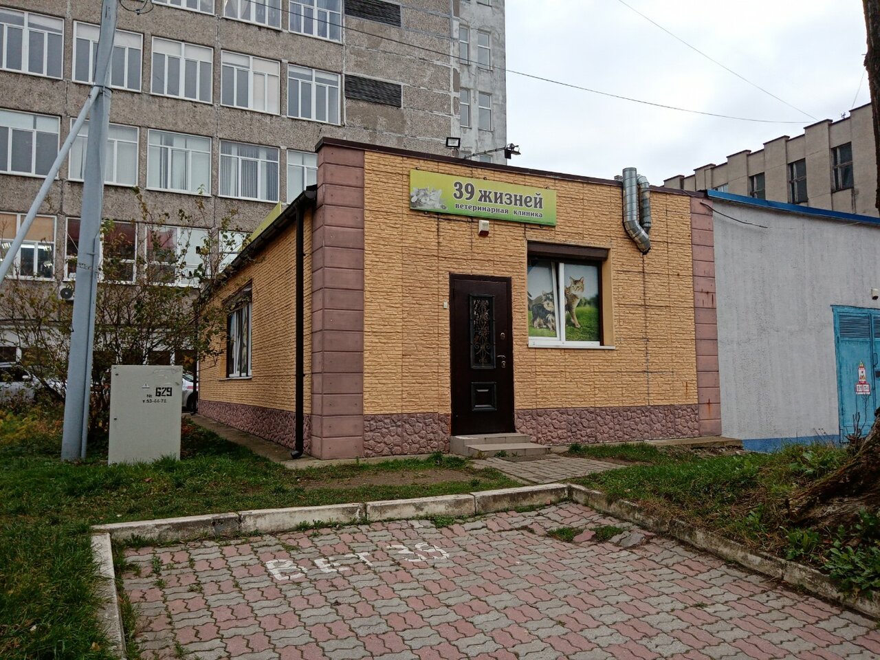 Фото клиники 39 Жизней