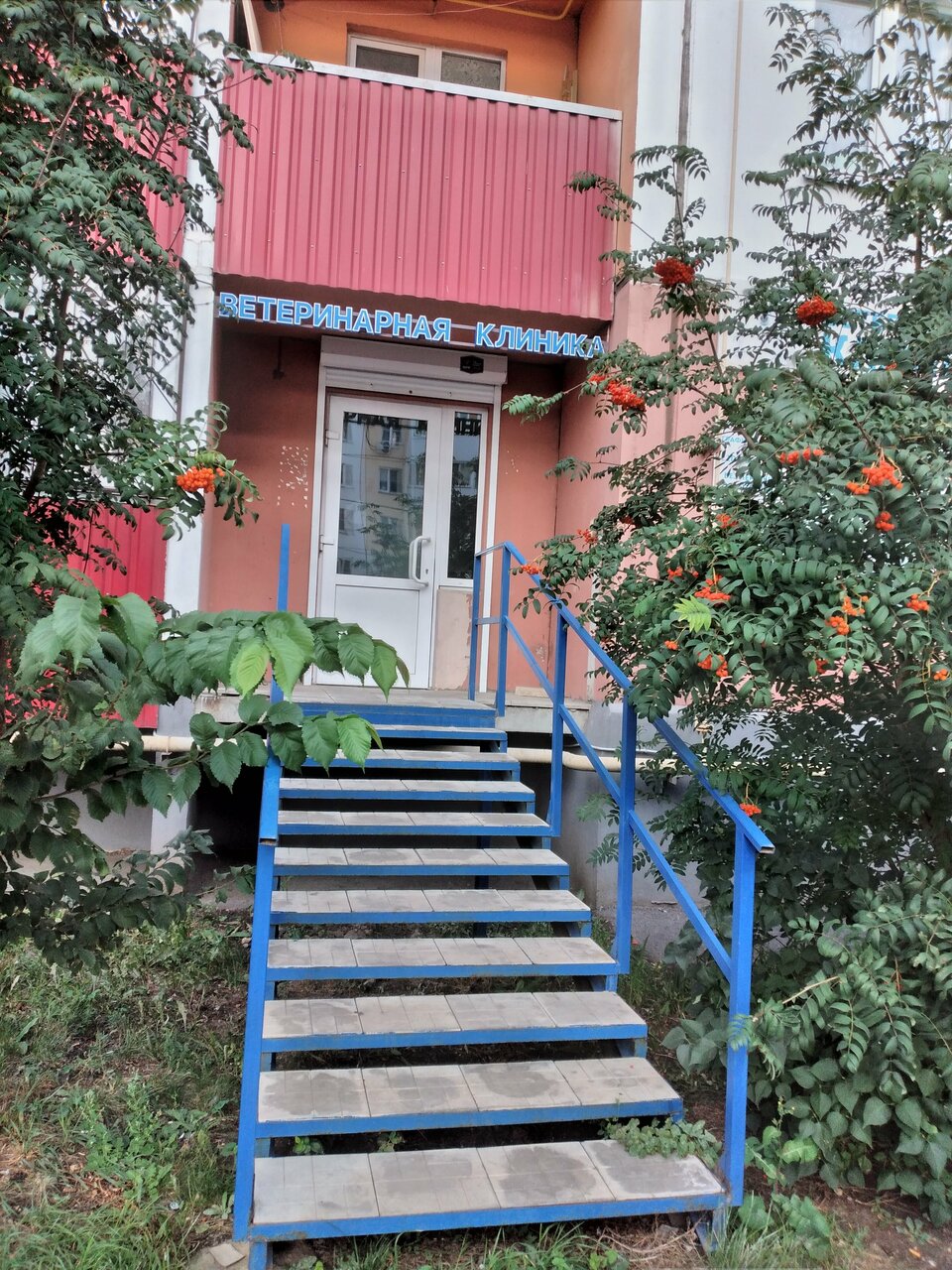 Фото клиники 1696