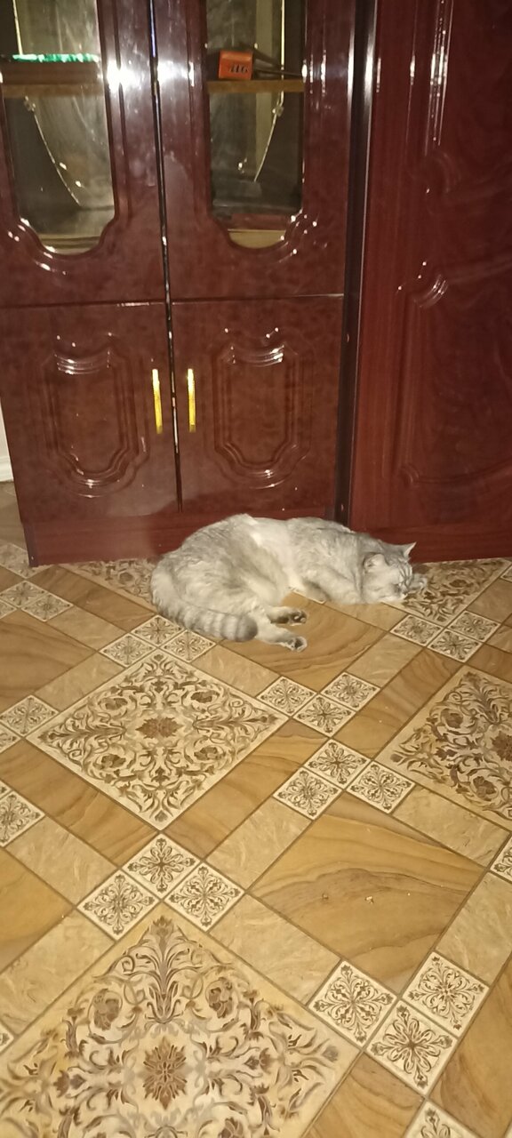 Фото клиники 27107