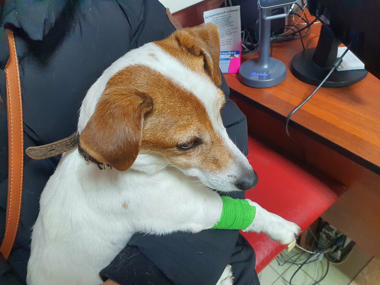 Ветеринарный кабинет