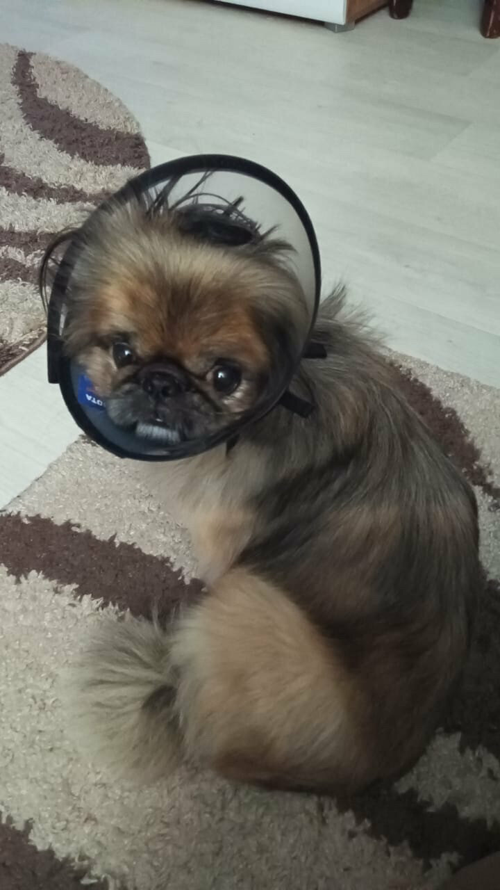 more clinic photos 739