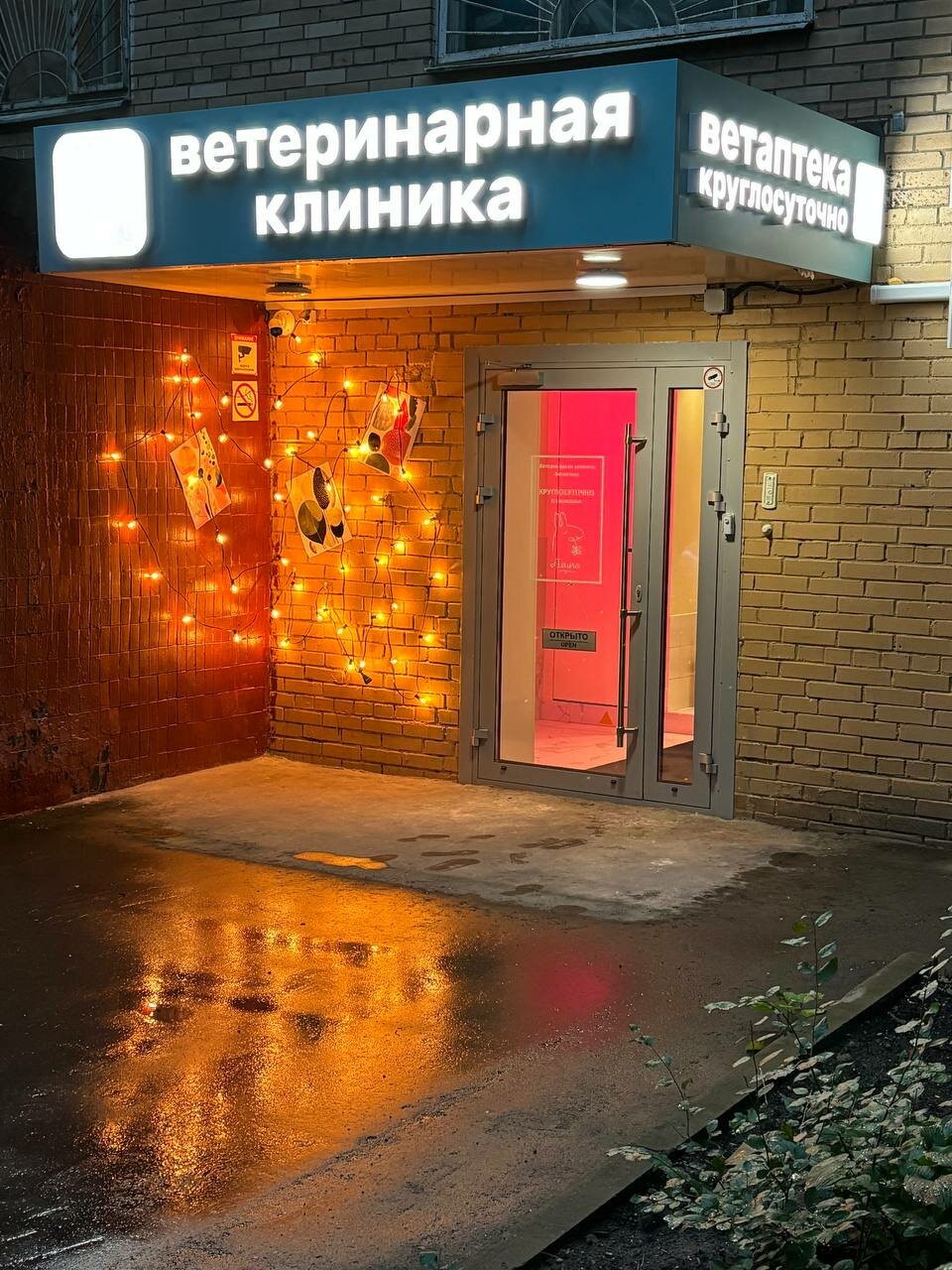 Фото клиники 19230