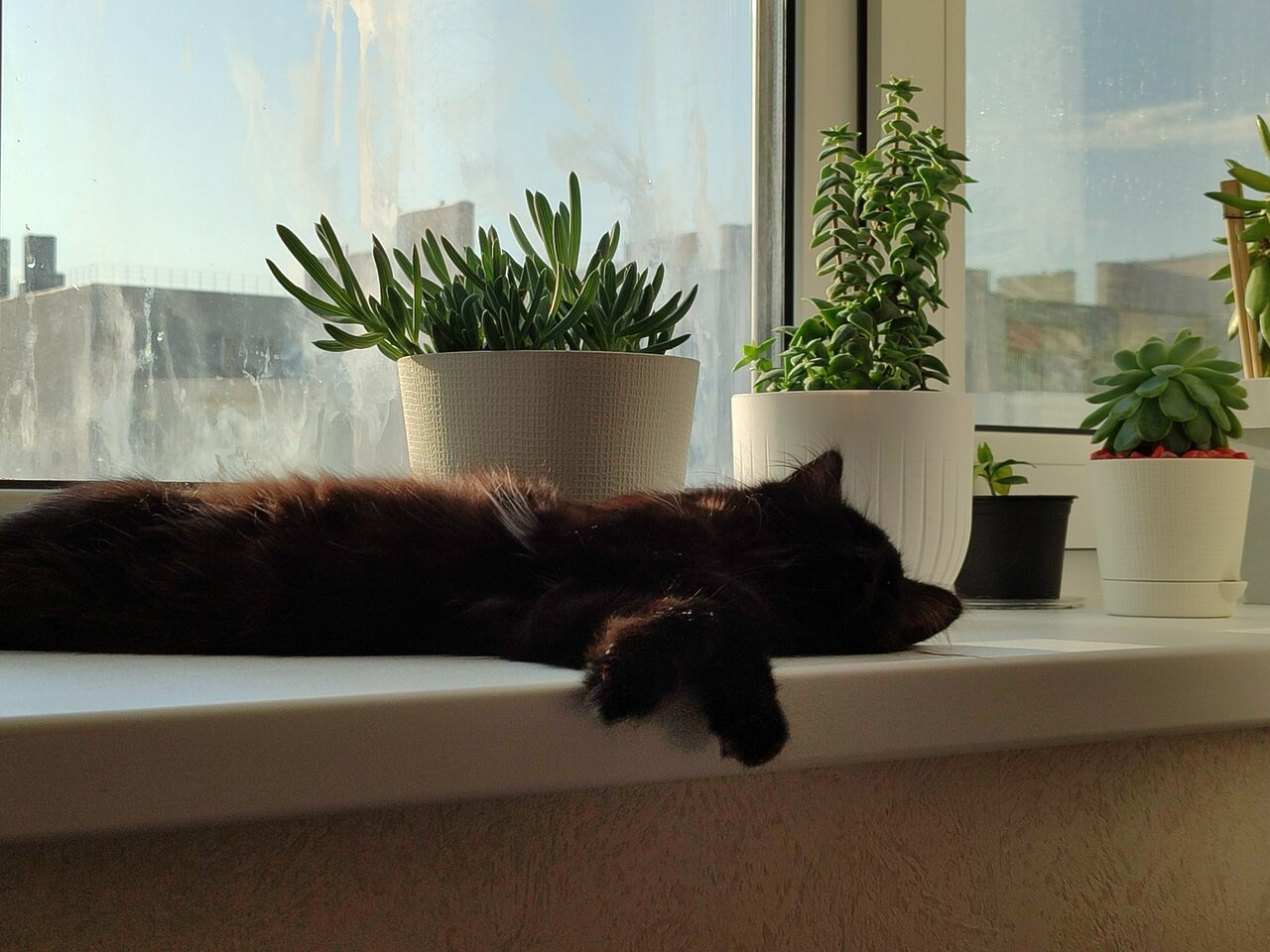 Фото клиники 32176