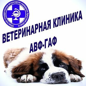 clinic general image