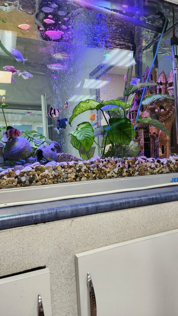 more clinic photos 36951