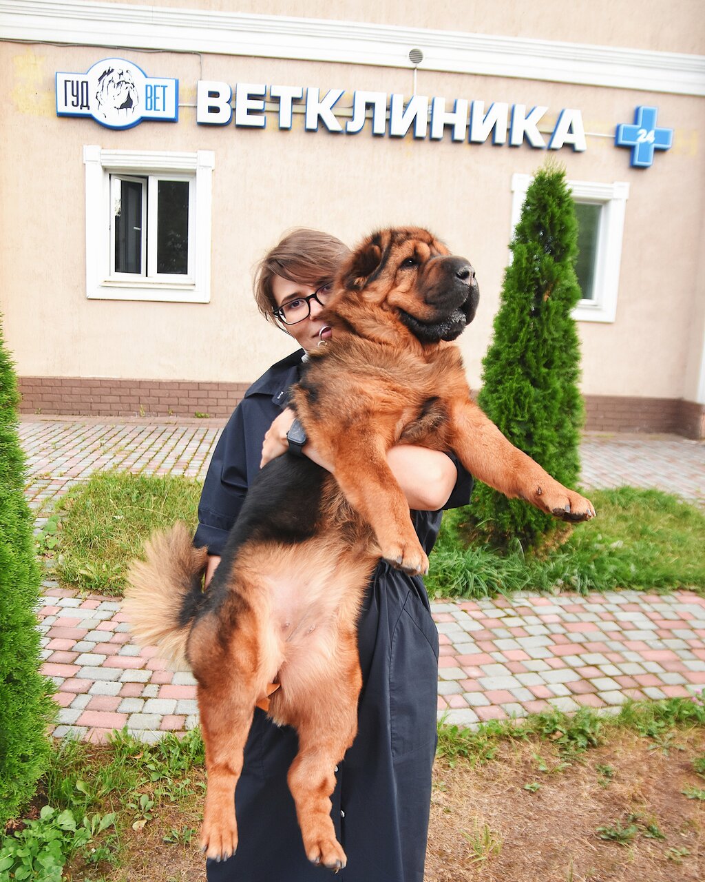 Фото клиники 68379