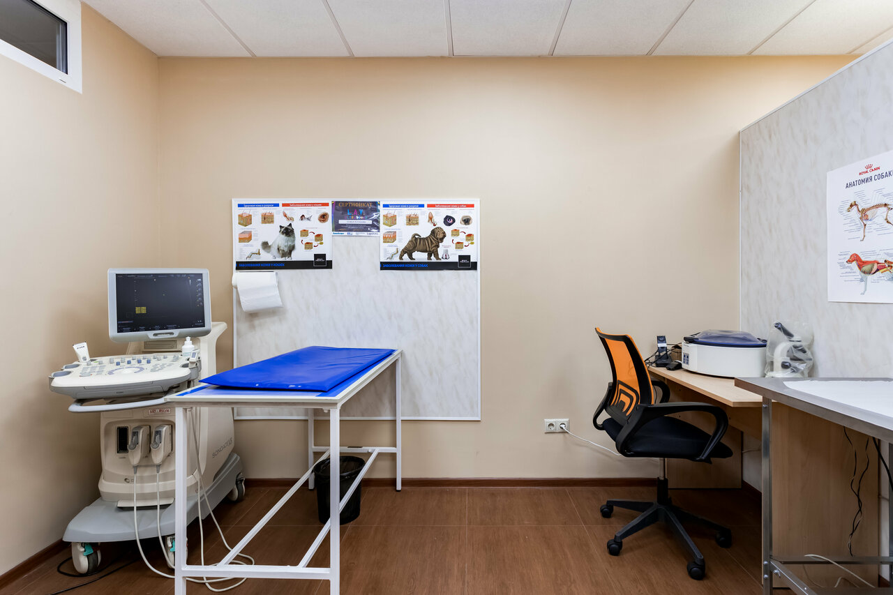 Ветпросвет