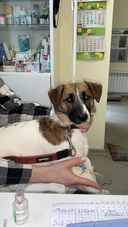 more clinic photos 11402