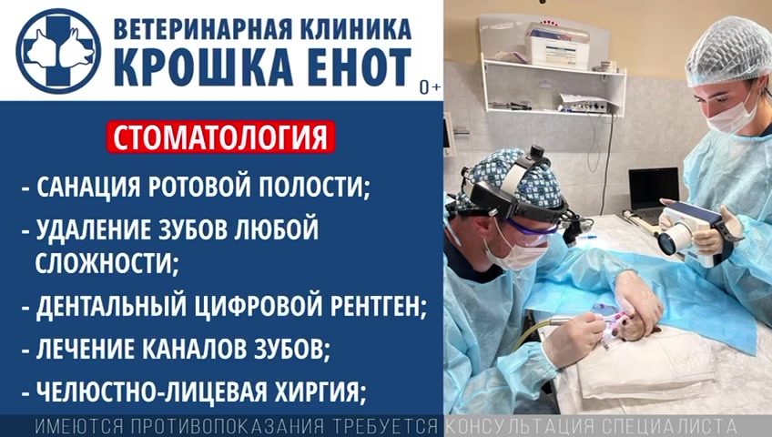 Главное фото клиники