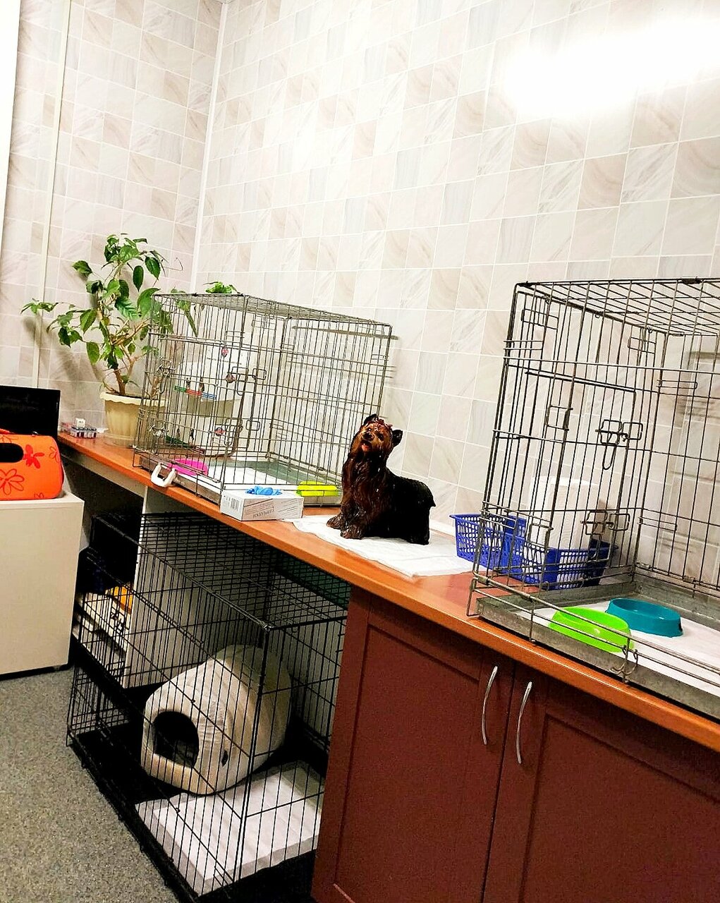 more clinic photos 22762