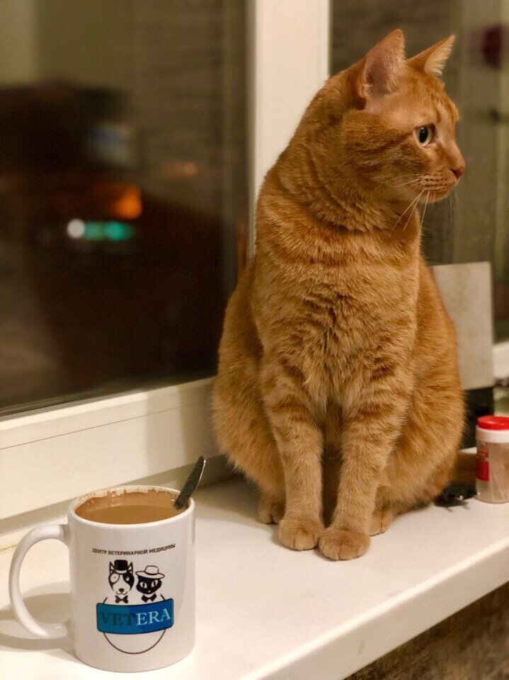 more clinic photos 24236