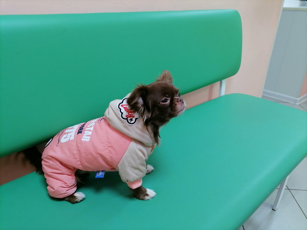 Ветеринарная клиника Dr. Lida