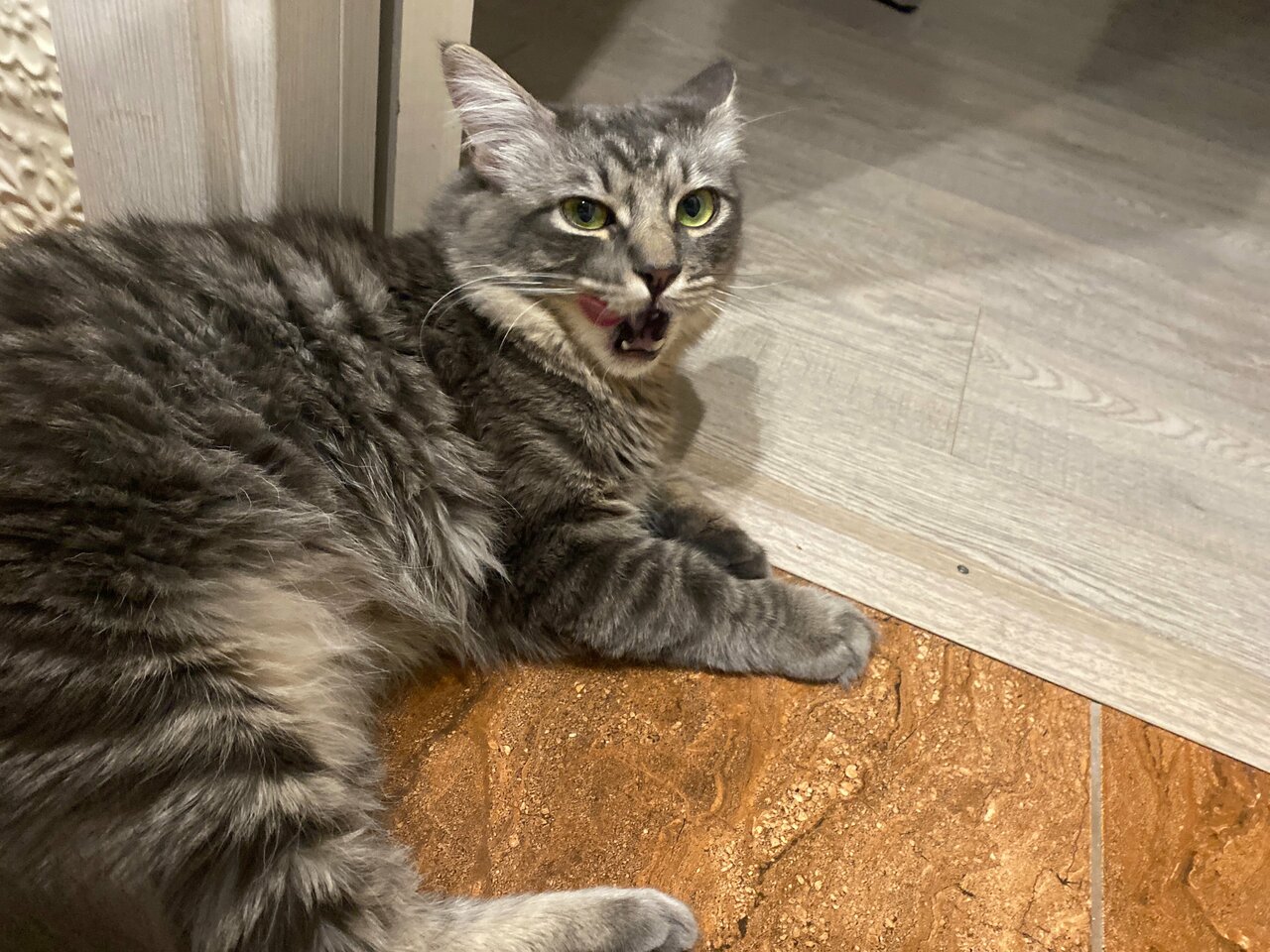 Главное фото клиники