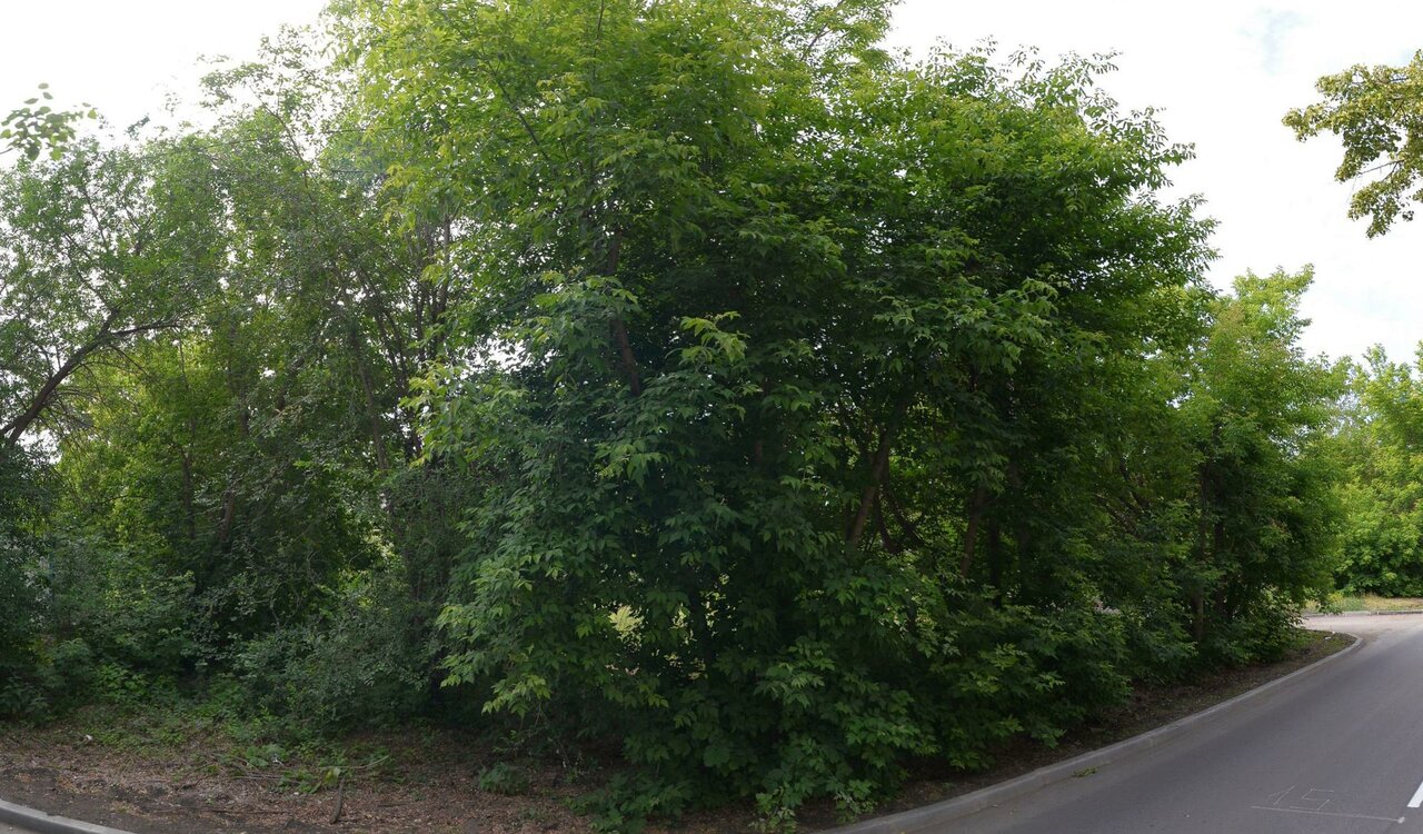 ГБУСО Каменская ветеринарная станция по борьбе с болезнями животных