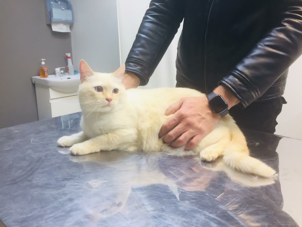 more clinic photos 71998