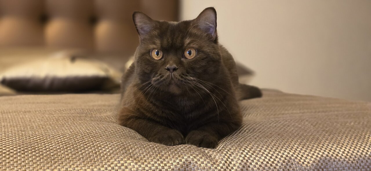 clinic general image