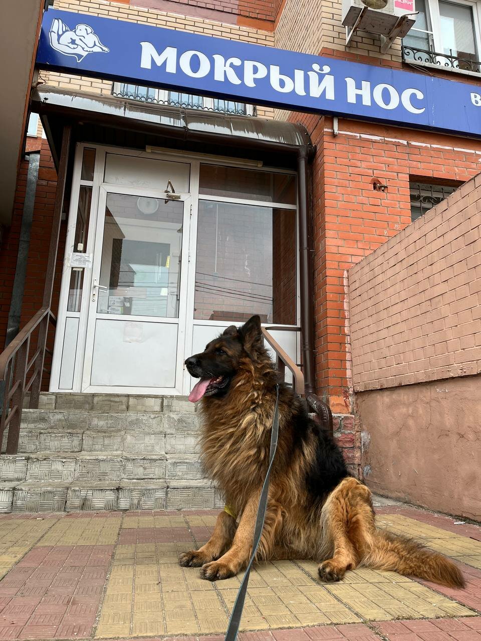 Фото клиники 11071