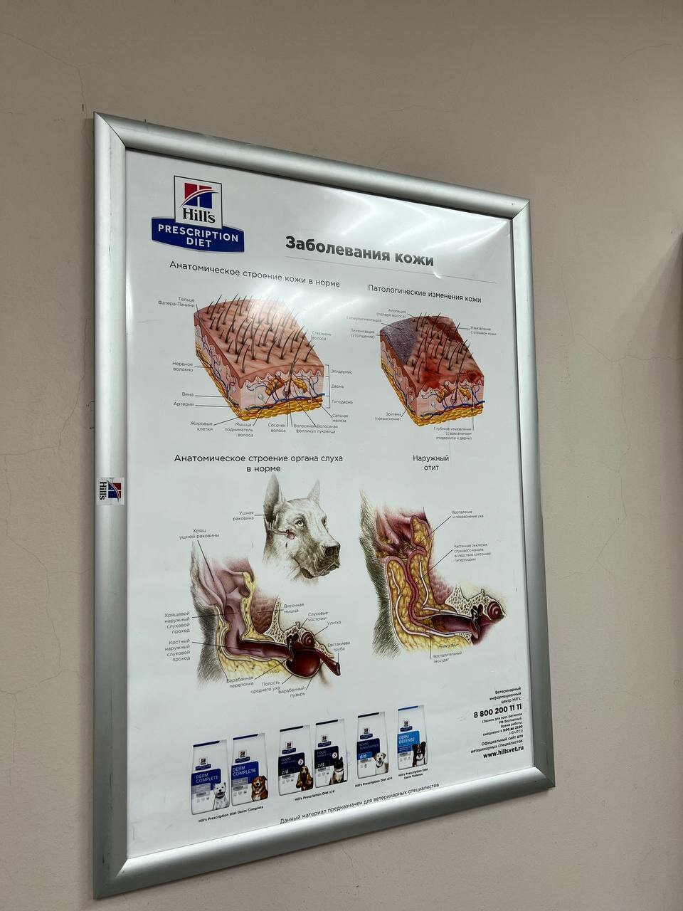 Фото клиники 32289