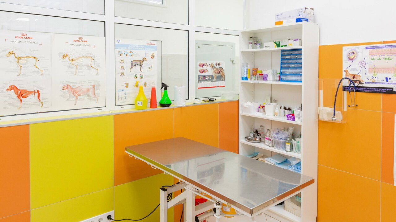 Свой доктор