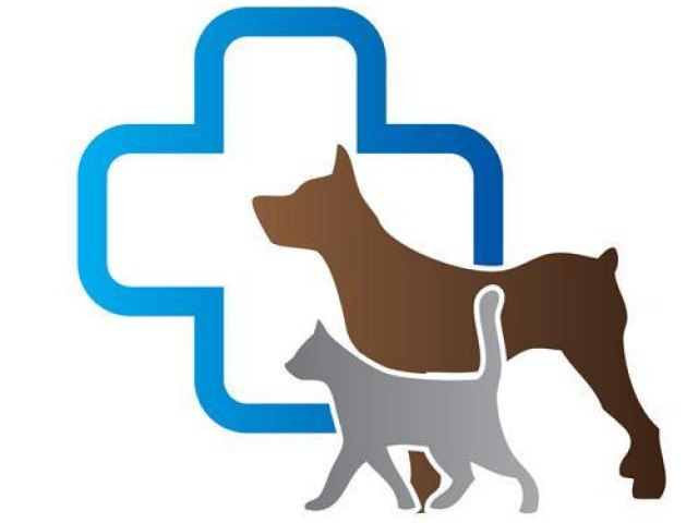 clinic logo