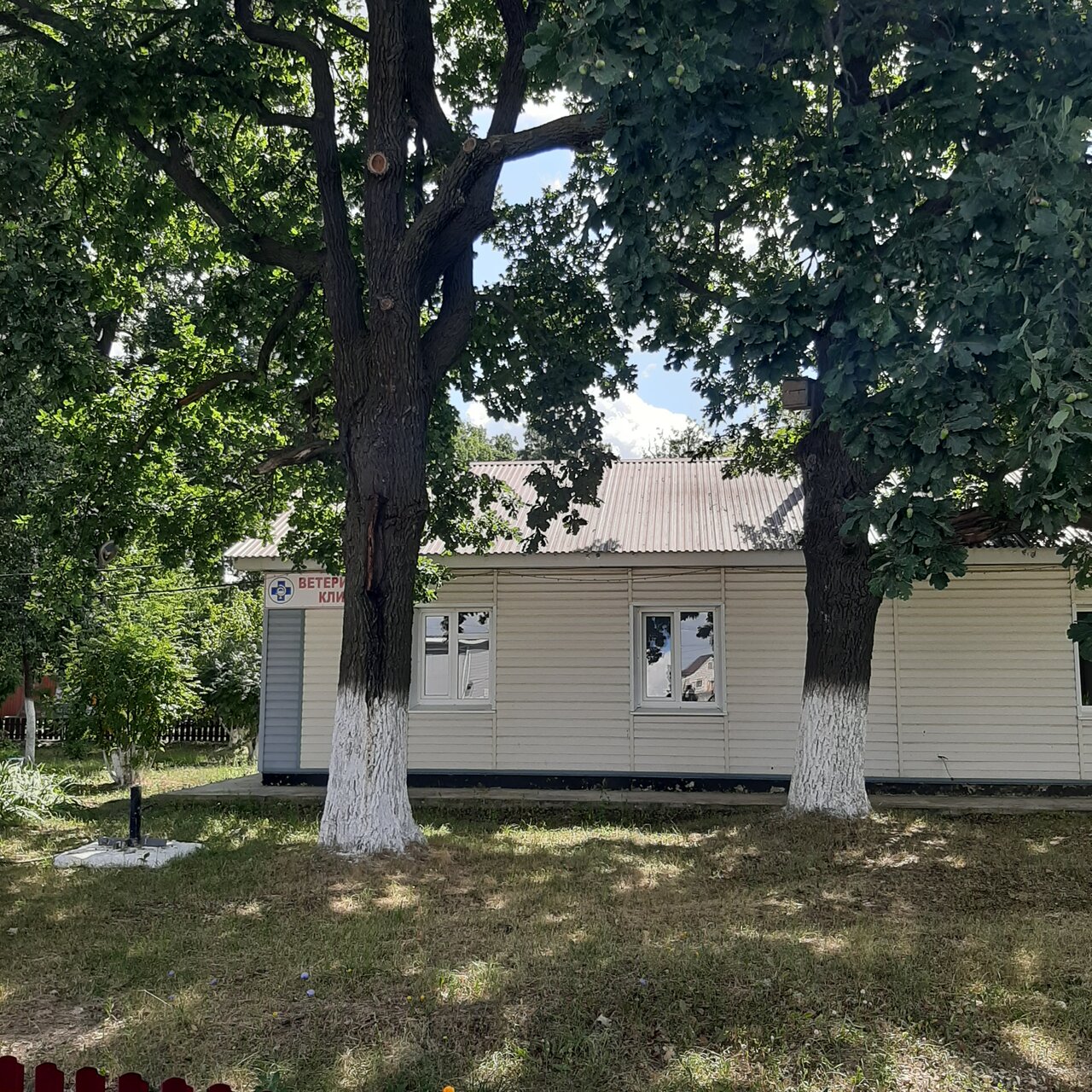 Ветеринарная лечебница