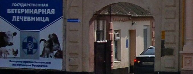 Городская ветеринария