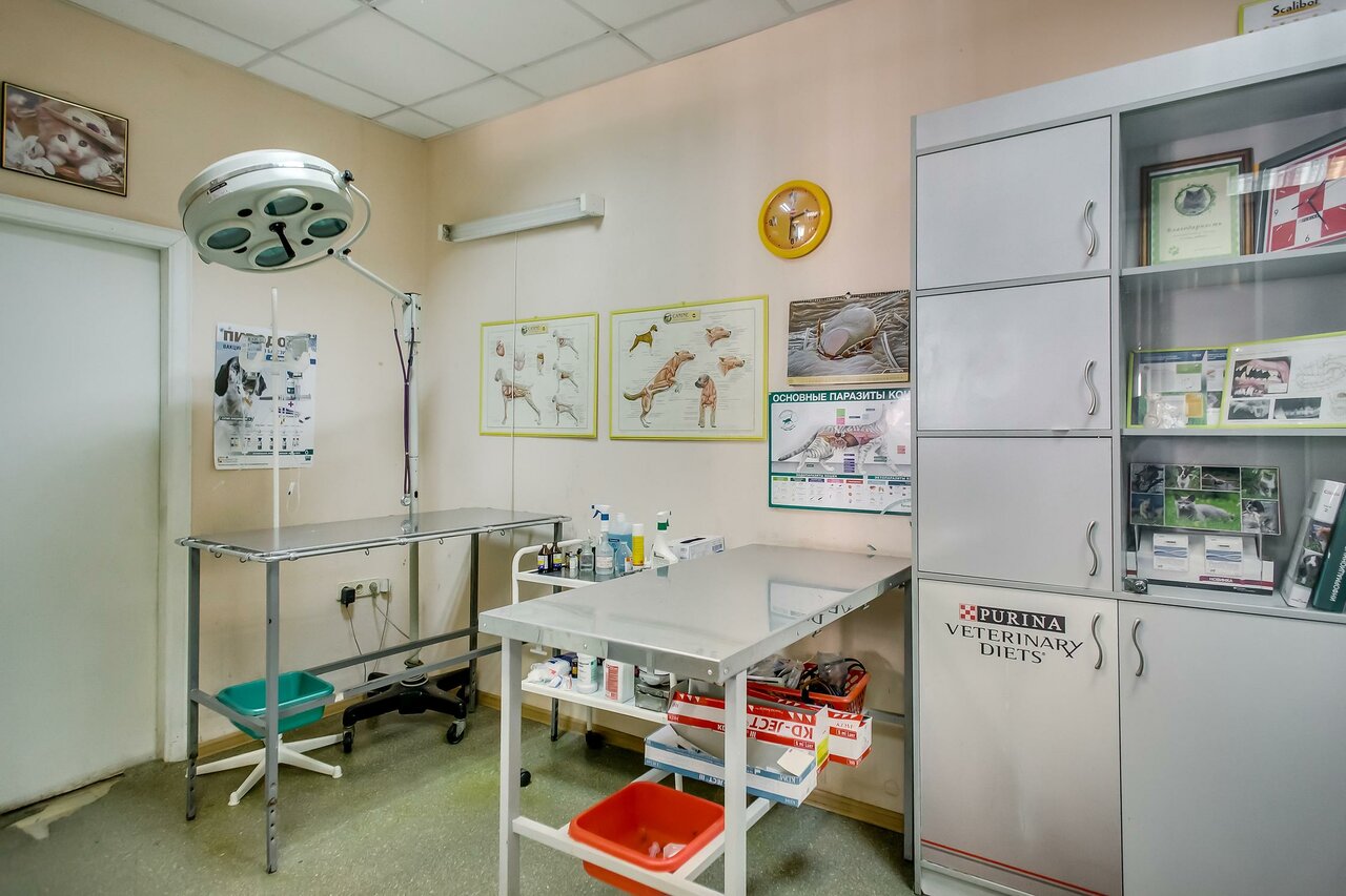 more clinic photos 1062