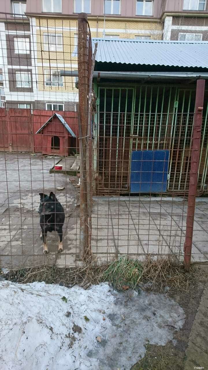 more clinic photos 9275