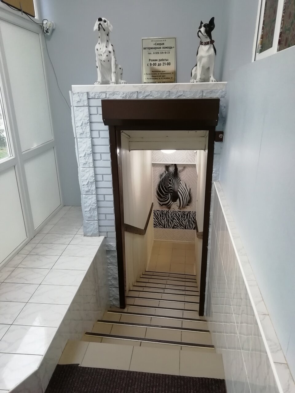 Фото клиники 56983