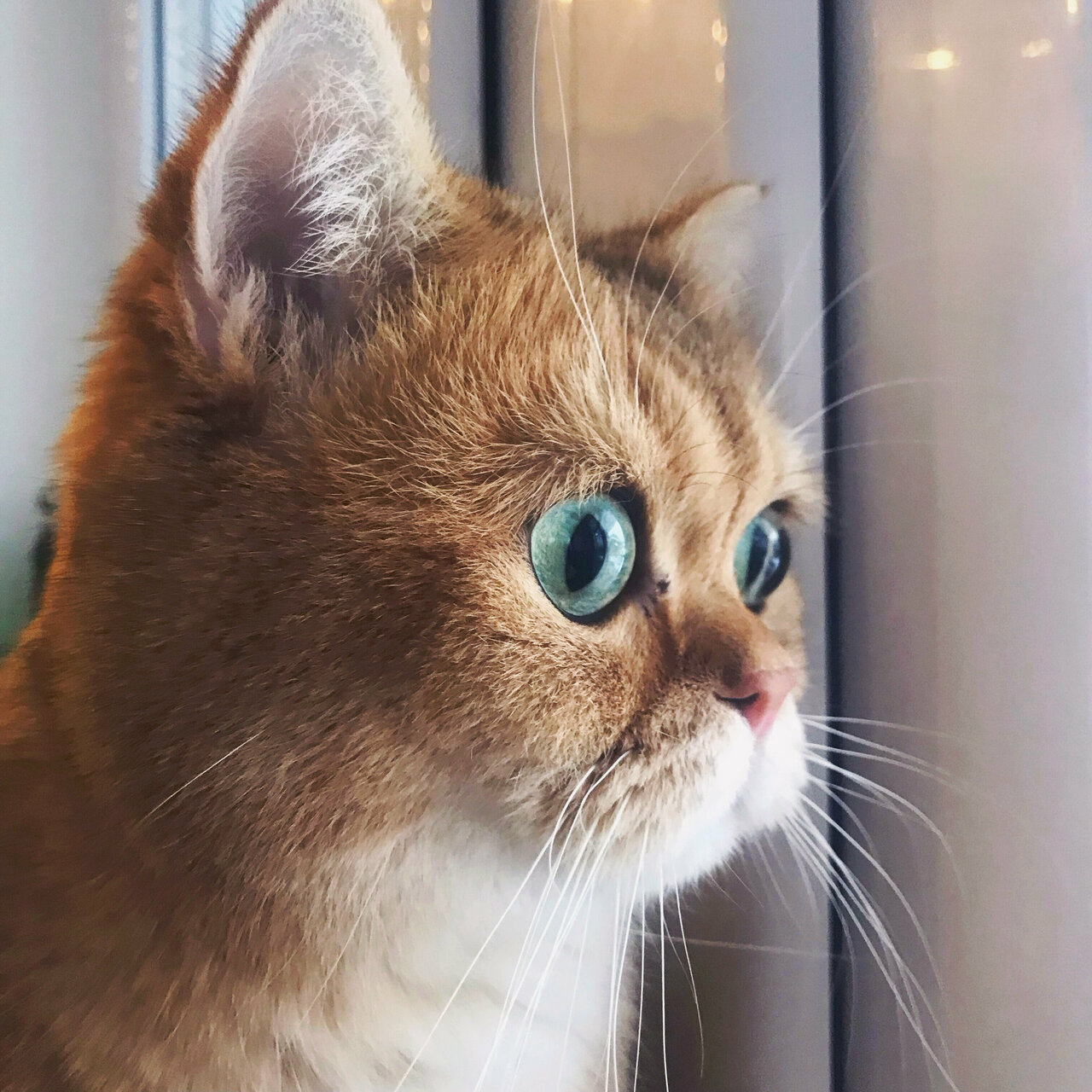 clinic general image